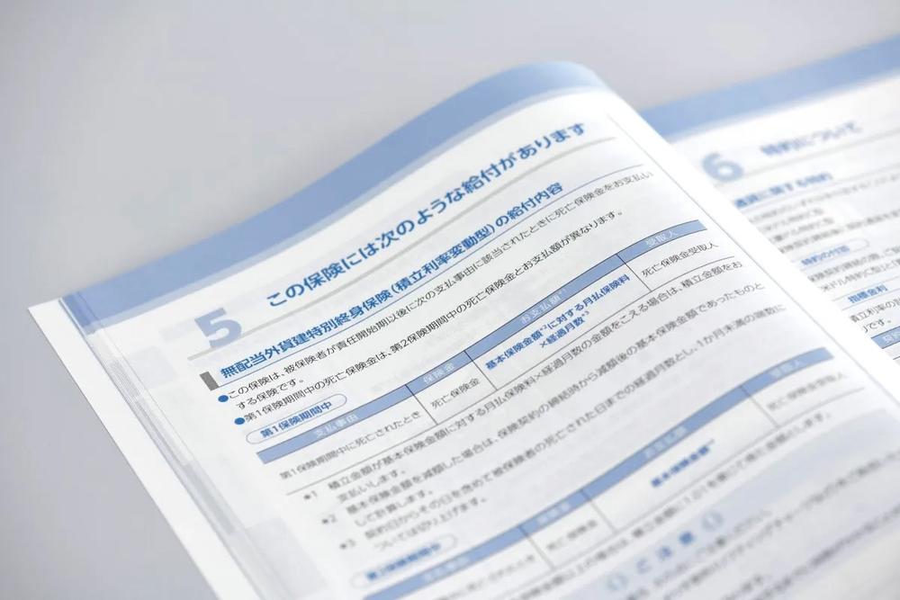 CSIで印刷した図表入り冊子の誌面サンプル